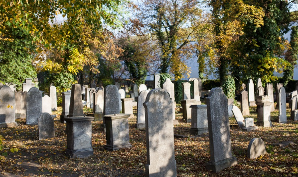 VII dzielnica Opola: Groszowice, Grotowice, Nowa Wieś Królewska